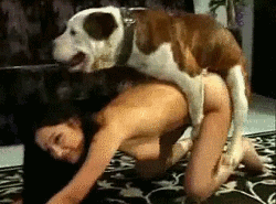 犬とのセックス gif 