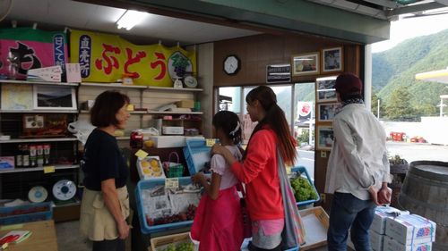 外国人観光客にオススメの山梨（御坂）桃狩り食べ放題peach picking in yamanashi misaka