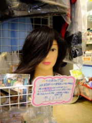 wig-model